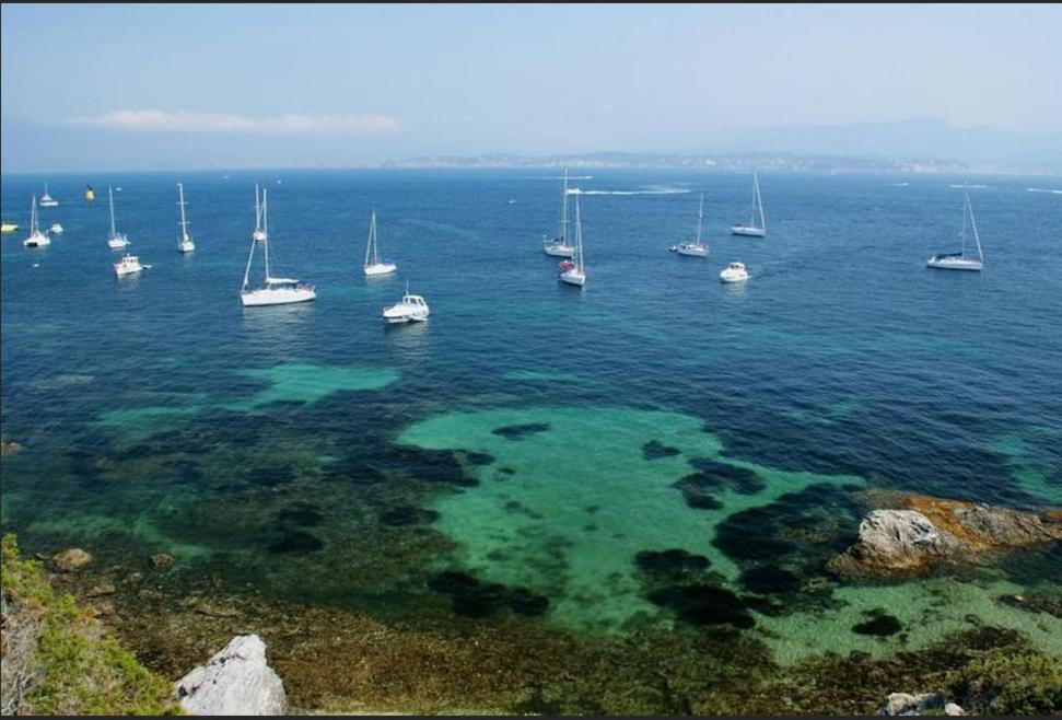 Chambrestudio Bord De Mer, Piscine シス・フール・レ・プラージュ エクステリア 写真